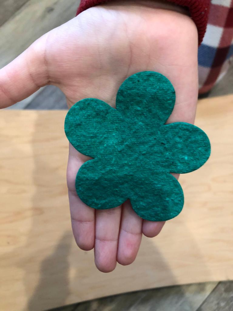 Green Paper with Flower Seeds Inside